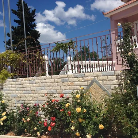 View سامي